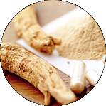 Panax Ginseng